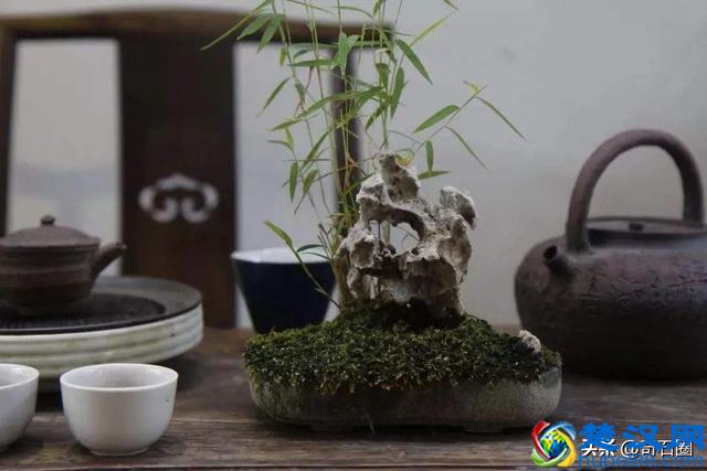 哪里有什么感同身受，只不过是冷暖自知罢了