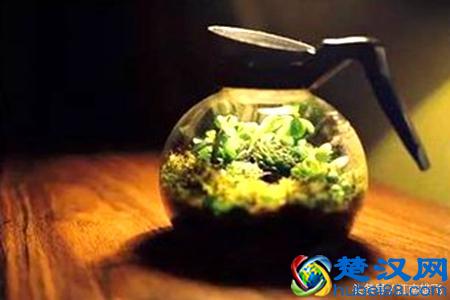 在生命里，守候幸福