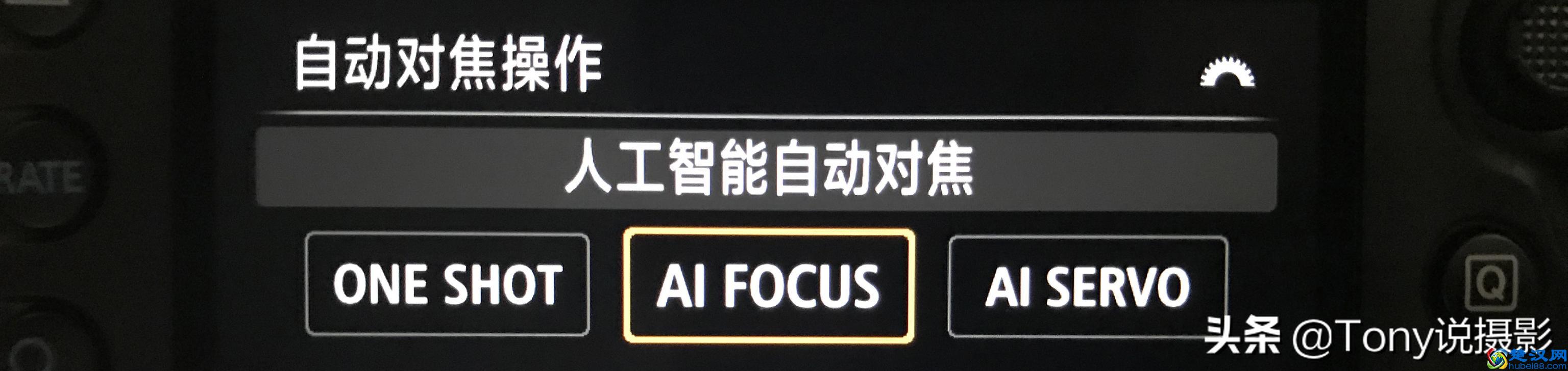 单反摄影说的AF-S、AF-C、AF-A和MF是什么？有何作用？