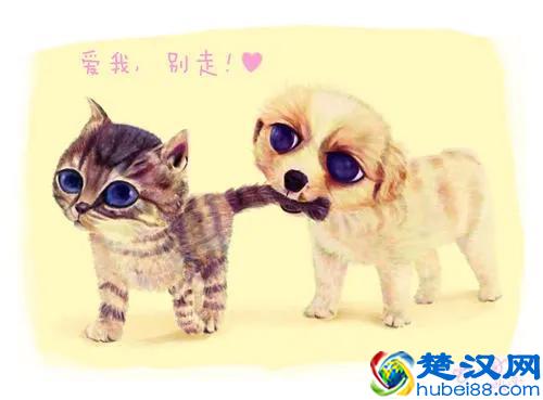 明天就是情人节了，怎么过才能让这个情人节更有意义？