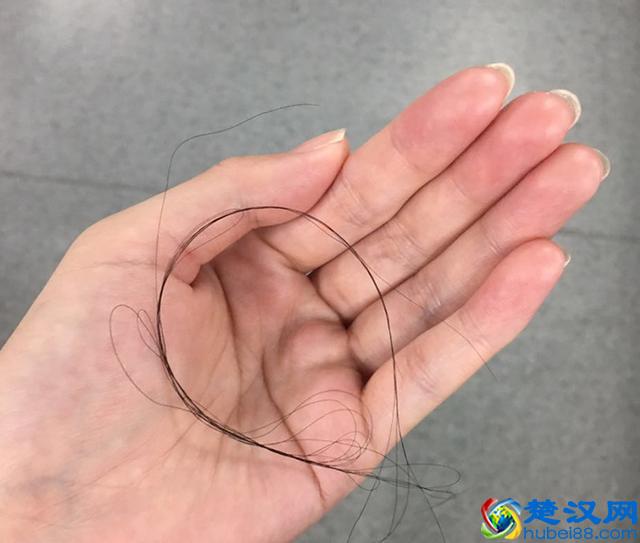 霸王洗发水有用吗，用过的人给你答案