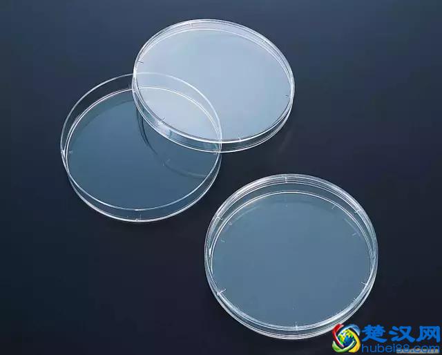 所有初中化学实验仪器