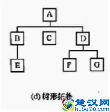 网络拓扑结构大全和实例