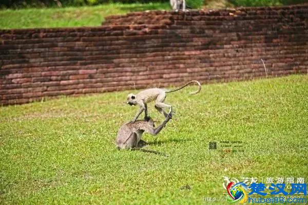可免签或落地签的十大迷人海岛