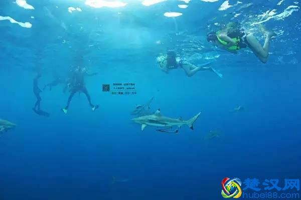 可免签或落地签的十大迷人海岛