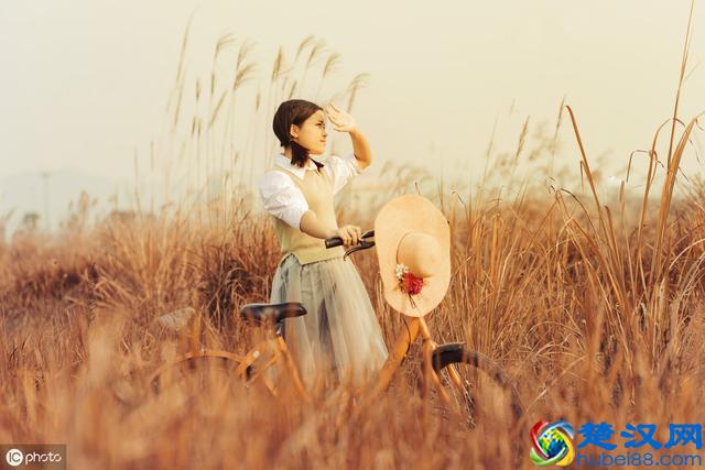 潜能测试——你的观察和判断能力怎么样。