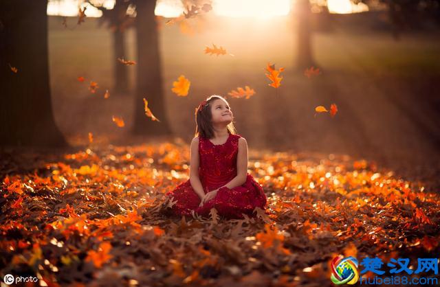 潜能测试——你的观察和判断能力怎么样。