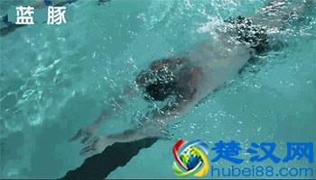 游泳初学者一定要掌握的基础动作练习！