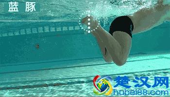 游泳初学者一定要掌握的基础动作练习！