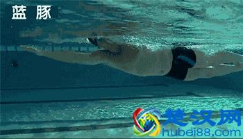 游泳初学者一定要掌握的基础动作练习！