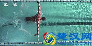 游泳初学者一定要掌握的基础动作练习！