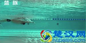 游泳初学者一定要掌握的基础动作练习！