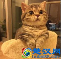 一个小妙招解决win图标小箭头，强迫症的福音