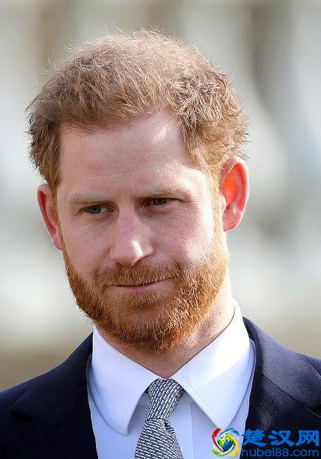 哈里王子帅出新高度！儿子阿奇越来越像他，宠爱梅根我就佩服哈里