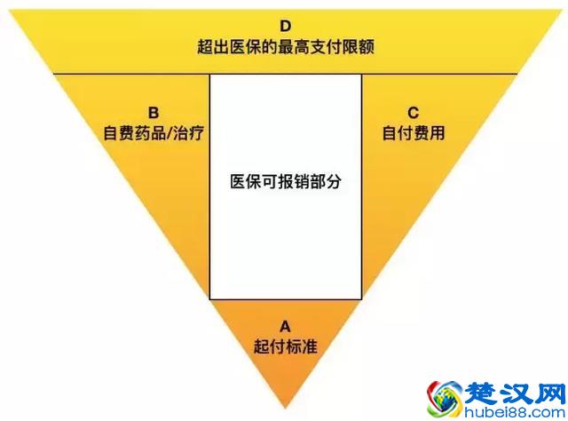 国民健康大数据揭露中国人健康状况，中年人成患病主力
