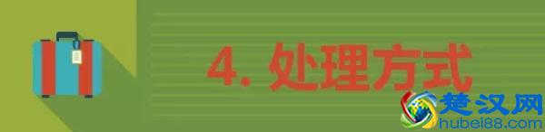 香港过关不能带啥