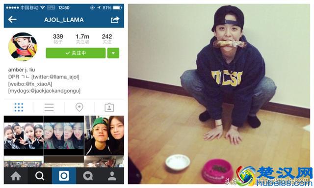 众多艺人明星使用的移动APP—instagram，你用了吗？