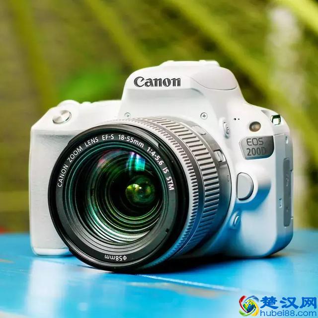 新手究竟适合买什么相机？这6款中一定有你满意的