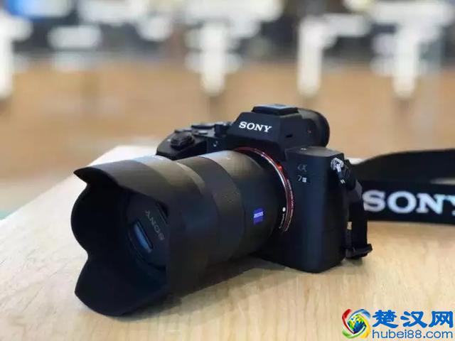 新手究竟适合买什么相机？这6款中一定有你满意的