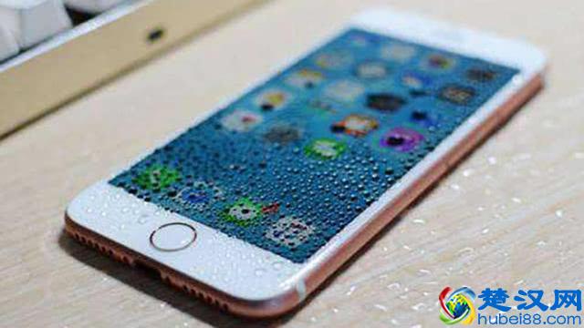 手机一不小心掉水里，如何快速处理？两个办法可用但是这个别碰