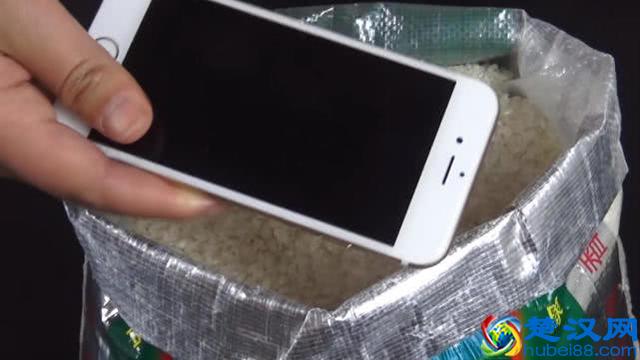 手机一不小心掉水里，如何快速处理？两个办法可用但是这个别碰