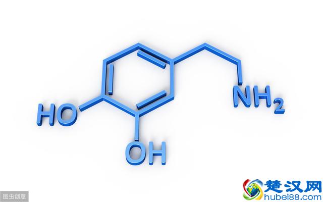 什么是多巴胺？抑郁症与多巴胺有什么联系？