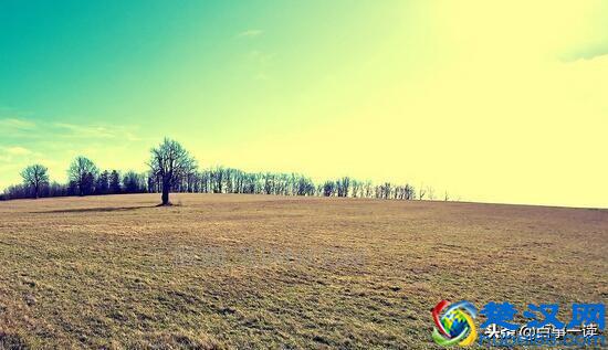 遇到这些生肖，你会懂得什么叫潜在腹黑！