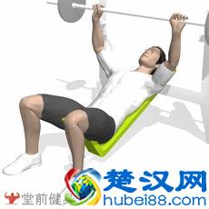 教你如何最快练出胸肌轮廓