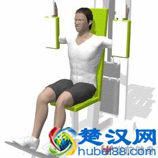 教你如何最快练出胸肌轮廓