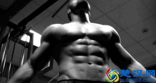 教你如何最快练出胸肌轮廓