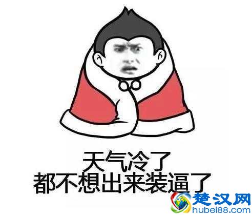 超实用的万能淘宝好评评论，100字通用评价模板，可一键复制