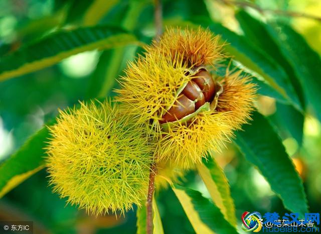 这5种家庭出身的人，其辉煌人生会严重受挫