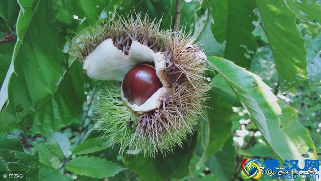 这5种家庭出身的人，其辉煌人生会严重受挫