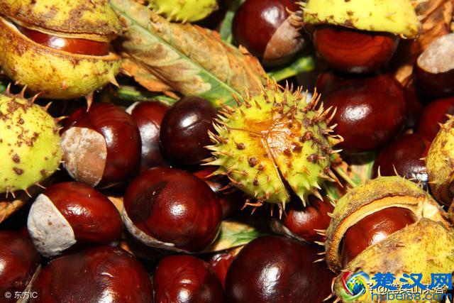 这5种家庭出身的人，其辉煌人生会严重受挫