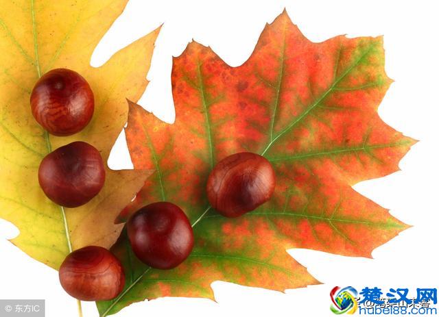 这5种家庭出身的人，其辉煌人生会严重受挫