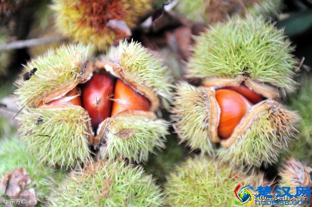 这5种家庭出身的人，其辉煌人生会严重受挫