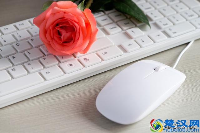 鼠标不动了怎么办？分享鼠标常见问题及其解决方法