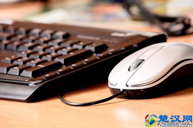 鼠标不动了怎么办？分享鼠标常见问题及其解决方法