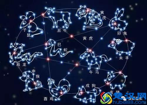 十二生肖最吸引人的魅力点及特点是什么？