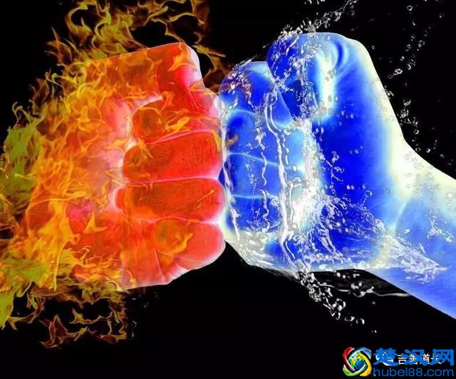 十二生肖最吸引人的魅力点及特点是什么？