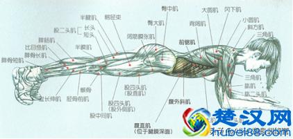 在家坚持了一个月，我练出了马甲线
