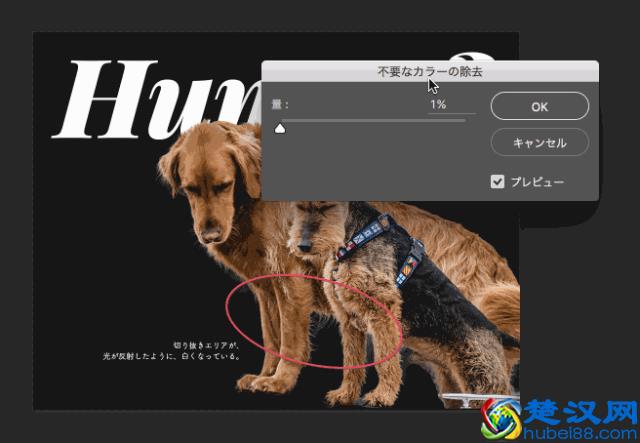 PS抠图的八种方法，最后一个简直是万能