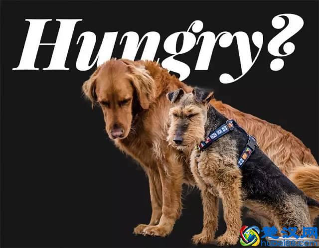 PS抠图的八种方法，最后一个简直是万能