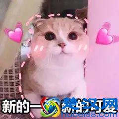 我们经常说的“日系风格”究竟是什么样子的呢？