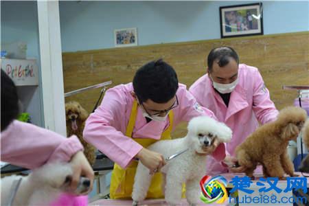 学美容有什么条件，前景如何