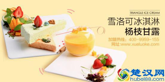 雪洛可冰淇淋加盟品牌，开店的有力保障