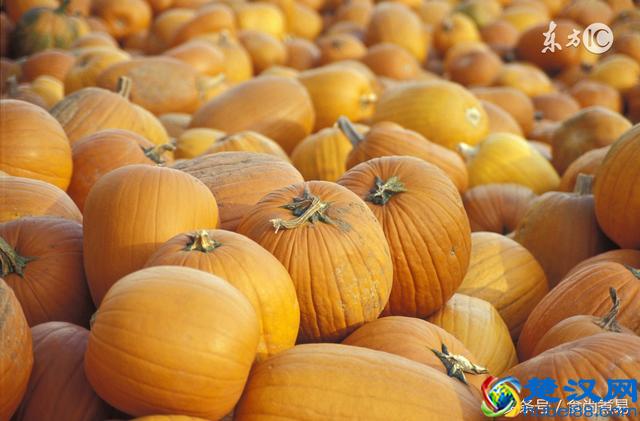 一步步教你做好吃的南瓜饼，记住其中的窍门，粗粮饼绝活全都会！