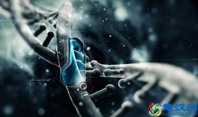 纳米科技究竟有什么用？对我们未来生活有什么影响？