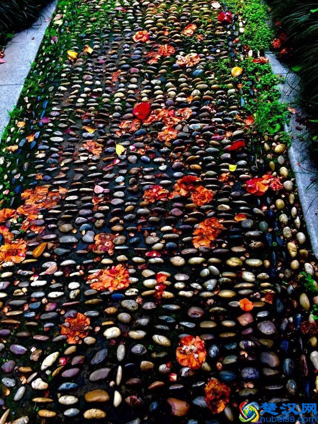 人们为什么喜欢咖啡厅,原来咖啡厅里有秘密