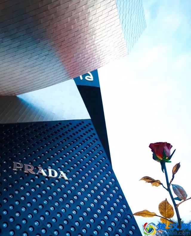 人们为什么喜欢咖啡厅,原来咖啡厅里有秘密